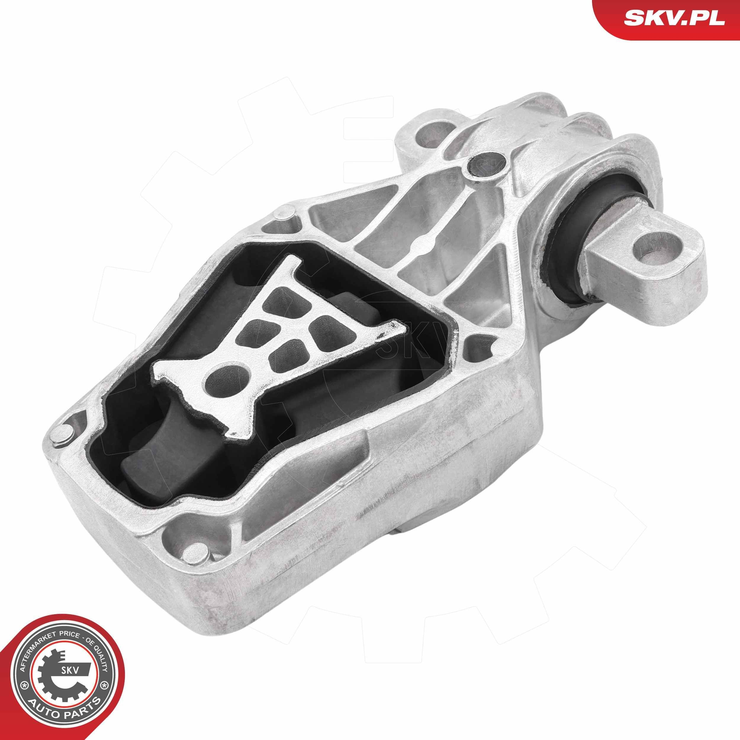 75SKV049 SKV